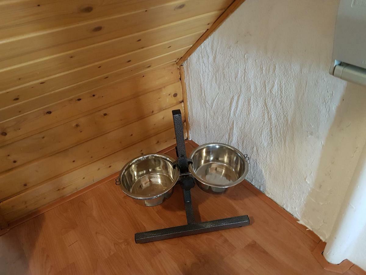 فيلا Haus Anna زيل ان دير موسل المظهر الخارجي الصورة
